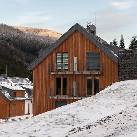 Apartman Pod Sneznikem Долни-Морава Экстерьер фото