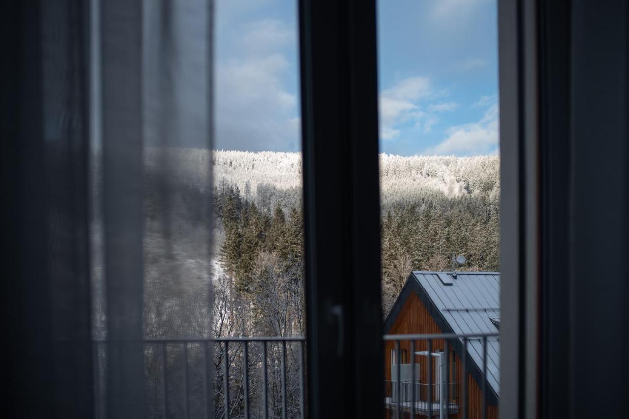 Apartament Pod Sneznikem